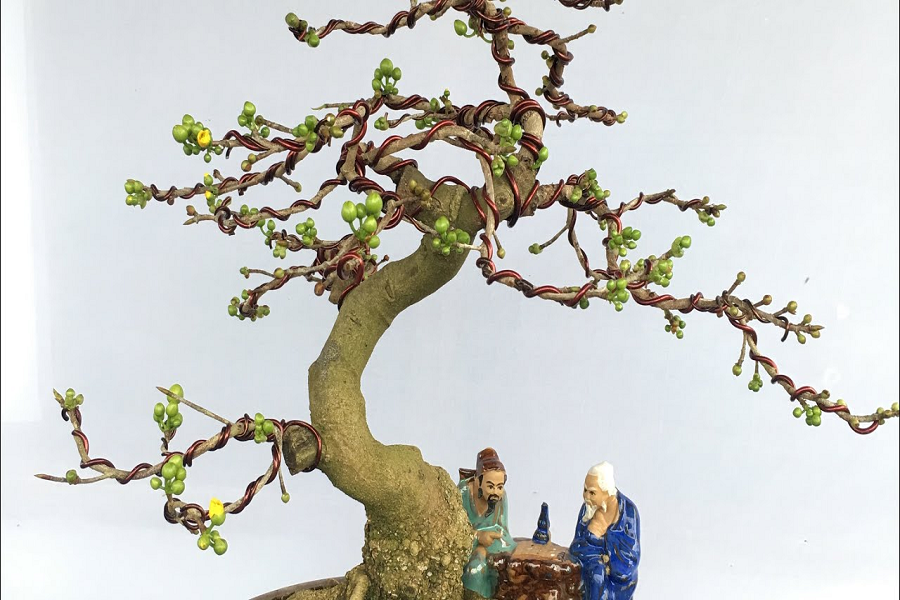 Hướng Dẫn Trồng Và Chăm Sóc Mai Bonsai Mini Đúng Kỹ Thuật